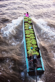 Green mangoes transported to Cho Noi market deep in the Mekong Delta